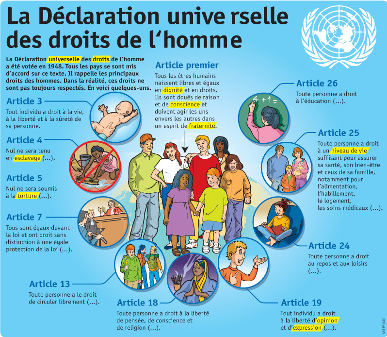 declaration des droits de l'homme - le petit quotidien